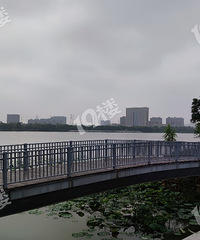 Ҫ�����˹��� ��Ҫ����ָ�� �������·����Ƕ��ַ�