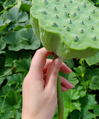 ܷܷ֮�֣�ִ֮���ң�80��MM����һ��ů���ˣ�Я�ֶ�����