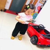 �������� ��Ȼ���ȳ�