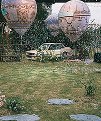 [����]������԰�����ޱ��ˣ�