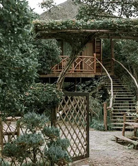 ����������ֵ�ߡ��۲��ߵı������ޣ�