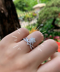 ���Ƶĸ��Ź���������ֳ���