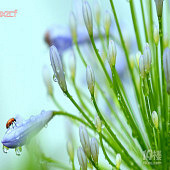 ΢�����Ļ���