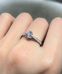 ���˰��ˣ����ƿ�������צ����