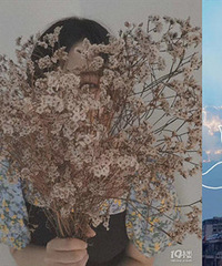 �����շ������ġ�26��MM ϲ�����������