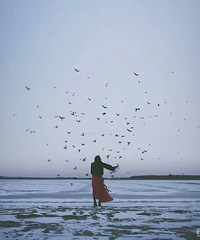 ����¥�������вŵ����� ����������ʫ�ˣ�