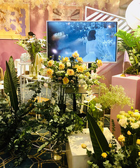 2020����ļ��ɹ�������ڻ��Ƚ����У��ֳ����� ������