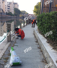 һ���ʰ·�ϵ�������