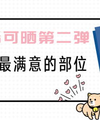 ������Կ�ɹ���֡����ס����ǡ�������ɹɹ��������Ĳ�λ��