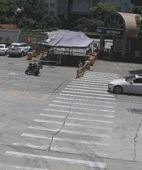 Σ�գ�����һС��㣬���ų�ͻȻ������һ����