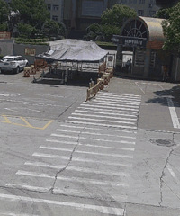 Σ�գ�����һС��㣬���ų�ͻȻ������һ����