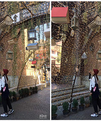 ͩ��MMҽ���� ����ʳ������