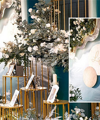 Ψ���ĳ������� ��ƺ����ģ�