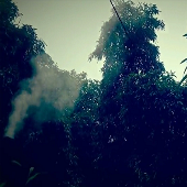 һ���������Ϣ