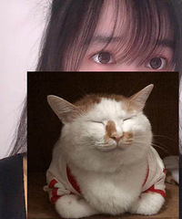 ����Ϧ���������24��MM ��������ϲ��è ϣ����ϲ��С����