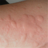 ����ݡ����һץһ��Ƭ