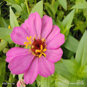 �ֻ�����˺öನ˹��