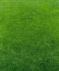 ����Ϧ���������93��175GG ϲ���˶� ϣ���Է����Ὺ��