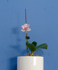 ����Ϧ���������91��GG �Ը����� ����ʳ����