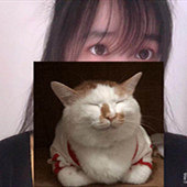 ��������ϲ��è