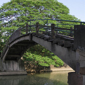 �������š���������