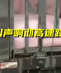 ������120ͷ���������ڼ��˸����ϣ�