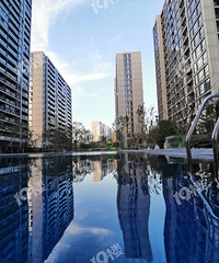 ����ѧ������ ������Ĳ�������ϲ��ǰ�������ӣ�