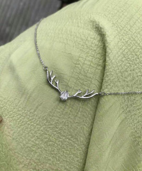 �Ա�10����Ǯ�����ĸ������ ���������·���Ϊ��