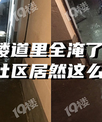 ����˵����û�취���������飺˵��û����