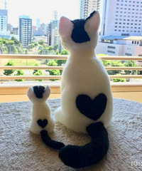 ϲ������è����ҵ�����MM Ը��һ���ģ����ײ�����