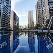 ��ϲ��ǰ��������