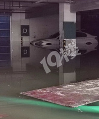 ��ʮ�������ڳ�����������3�� ���ڿ���������