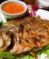 ÿ��̩�˶��������� ������Ƚ��ر�