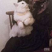 173�߸�����������