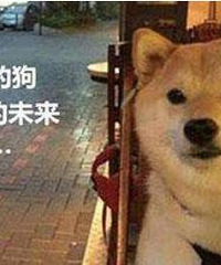 单身很丢脸吗?