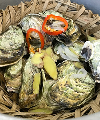 �����һֻ��Ҳ̫�����˰�