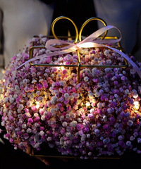 ����С���ϲ���廨���־� ϣ��������һ��־Ȥ��Ͷ������