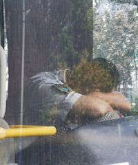 ÿ������һ�� ���������ڳ���ЪЪ����