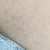 ���к�Ϳ�ʼ�˽���