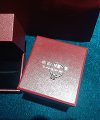 50����צ����ʸ������� ����ĳ�������