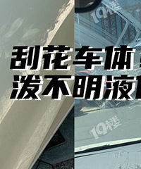 �ҵĳ��ӱ�һ��������Ů˾�����������