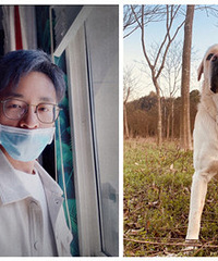 ���Լ��Ҷ��� ˳��������Ҹ���