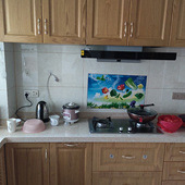 ��ϲ��ԭľɫ����