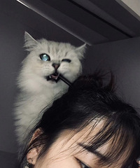 94.147.78�����ľ�ǿ