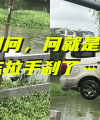 ��λ����ͣ�ڲ�ƺ�� ˭֪�������ӡ��ˡ�