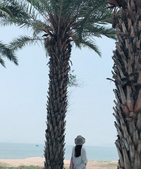 ƽ���������ѵ� ϲ����Ӱ���ν��� �Ҹ�ƽ������