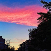 ���һƬ���