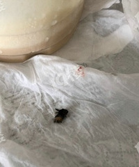 ����Ҳ��Һ��̲��ˡ�