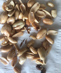 ��ջ����׶��ܳԳ������