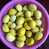 ������һ�������